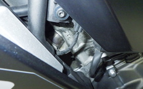 KAWASAKI ZX-4R SE 2024 ZX400P