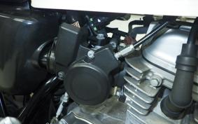 HONDA APE 50 AC16