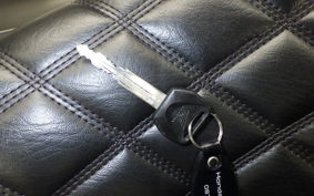 HONDA REBEL 250 A 2010 MC49