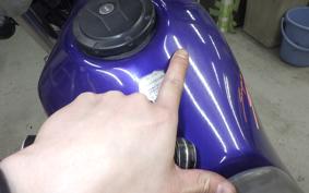 KAWASAKI SUPER SHERPA KL250G