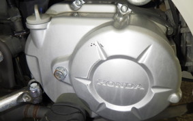 HONDA C110 SUPER CUB