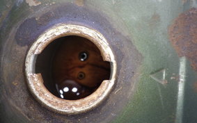 HONDA C50 SUPER CUB C50