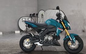 KAWASAKI Z125 PRO  BR125H