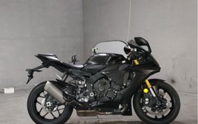 YAMAHA YZF-R1 2019 RN49