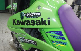 KAWASAKI KLX250 Gen.2 LX250S