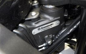 KAWASAKI NJNJA1100SX 2025 ZXT10H