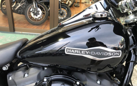 HARLEY FLSB 2021 YMJ