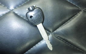 YAMAHA MAXAM 250 SG17J