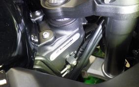KAWASAKI NINJA 1000SX 2024 ZXT02K