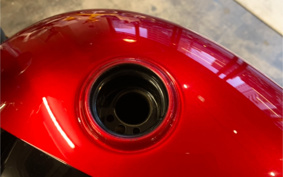 TRIUMPH  TRIUMPH  SPEED  TWIN 900 2023 DAD74G