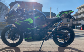 KAWASAKI NINJA 400 2018 EX400G