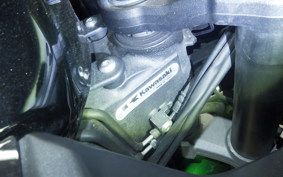 KAWASAKI NINJA 1000SX 2021 ZXT02K