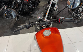 HARLEY X350 2024 W3C