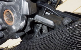 KAWASAKI Z900RS CAFE 2023 ZR900K