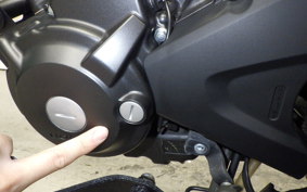 HONDA REBEL 250 A MC49