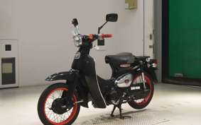 HONDA LITTLE CUB E AA01