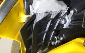 YAMAHA WR250X 2019 DG15J