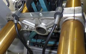 DUCATI PAUL SMART 1000 LE 2008