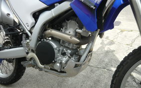 YAMAHA WR250R DG15J