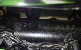 KAWASAKI KH250 KH250B