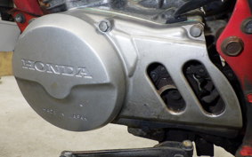 HONDA APE 50 2021 AC16