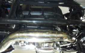 OTHER THUNDER 250 2011