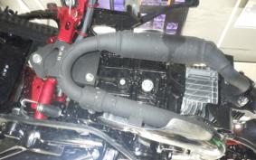 HONDA DAX 125 2022 JB04