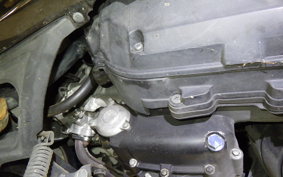 YAMAHA MAXAM 250 2014 SG21J