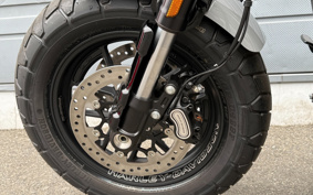 HARLEY  HARLEY FXFBS 2024 YLK