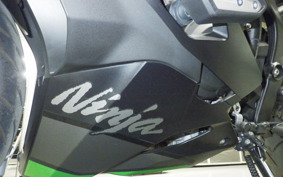 KAWASAKI ZX-4R SE 2024 ZX400P