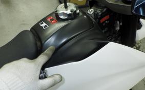 YAMAHA WR250X 2021 DG15J