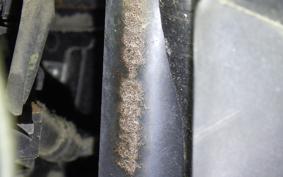 HONDA DIO Gen.6 AF68