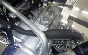 HONDA ｸﾛｽｶﾌﾞ50 2025 AA06