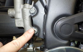 HONDA CRF250L MD47