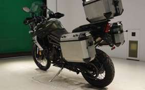 TRIUMPH TIGER 800 2019