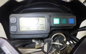 KAWASAKI KLX250 2024 LX250E