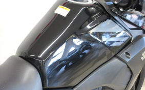 SUZUKI STROM 250ABS DS11A