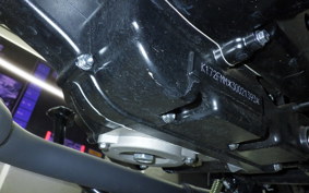 OTHER +ﾏｯﾄﾓｰﾀｰｻｲｸﾙ250 2008