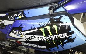 KAWASAKI KLX250D TRACKER X