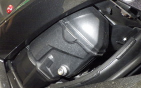 KAWASAKI NINJA 1000 A 2015