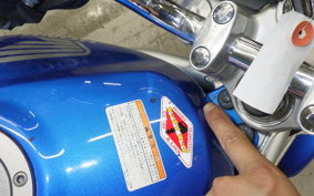 HONDA VTR 250 Gen. 2 MC33