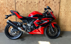 KAWASAKI Ninja 250SL BX250A