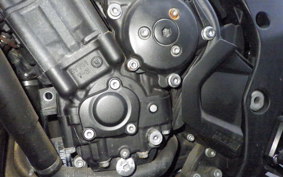 YAMAHA FZ1 FAZER 2009 RN21J