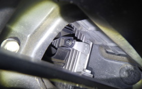 HONDA FORESIGHT EX MF04