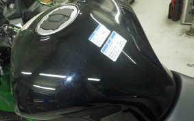 KAWASAKI NINJA 1000SX 2024 ZXT02K