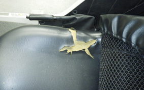 OTHER +COMS 2026 TAK30