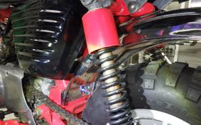 HONDA UNREGISTERED MODEL by BDS50