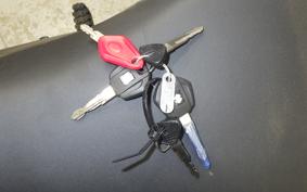 SUZUKI Vｽﾄﾛｰﾑ250SX 2007 EL11L