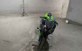 KAWASAKI NINJA 250 EX250P