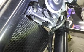 KAWASAKI Z900RS 2019 ZR900C